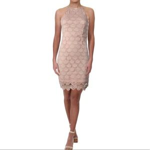 NWOT Aqua light pink, lace style Dress